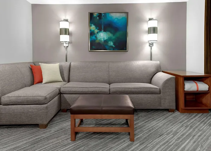 Hyatt Place Chicago/itasca Hotel 3*