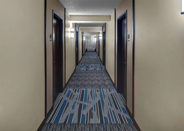 Hyatt Place Chicago/itasca