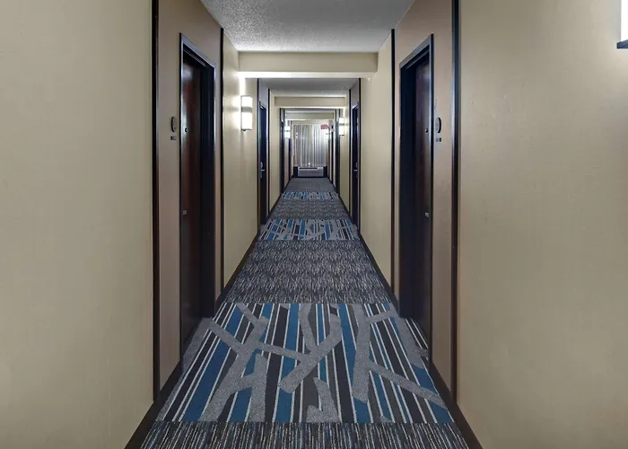 Hyatt Place Chicago/itasca Itasca